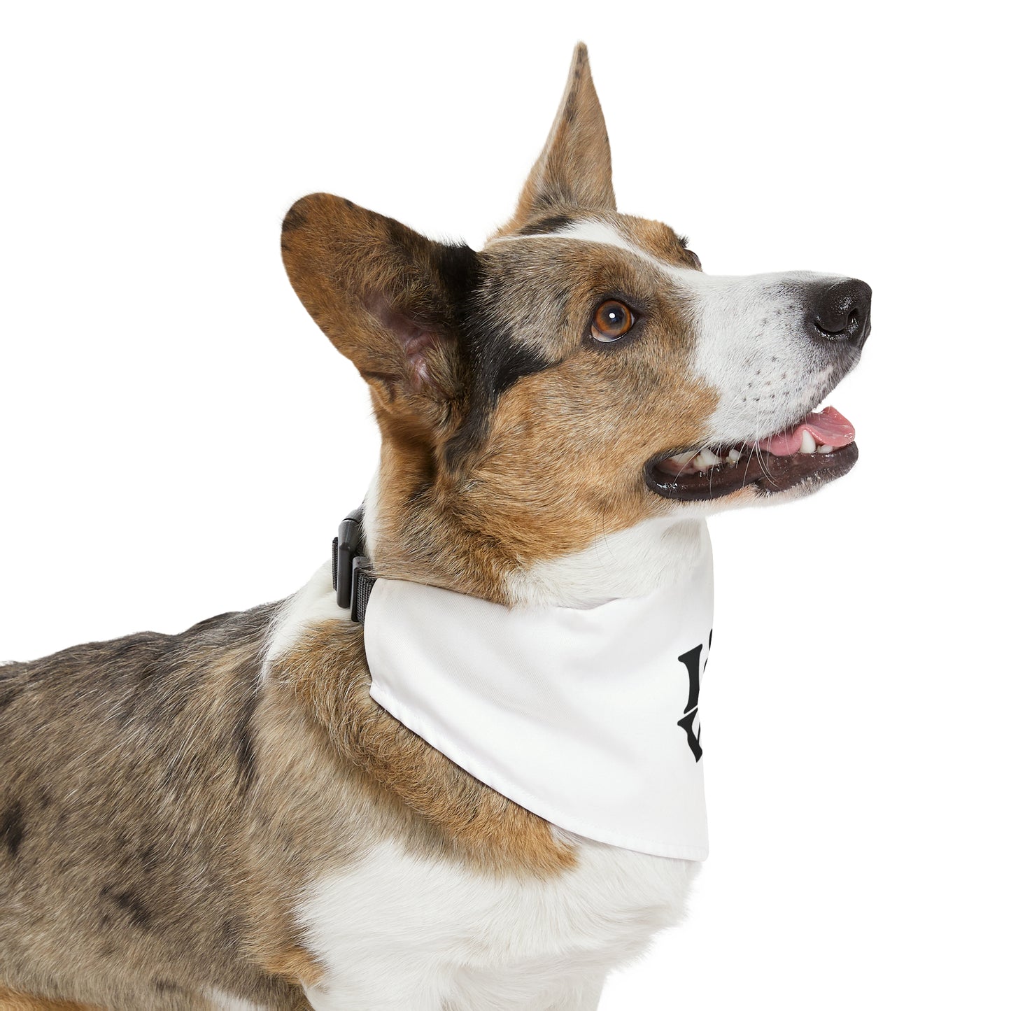 PetLuv | Pet Bandana Collar