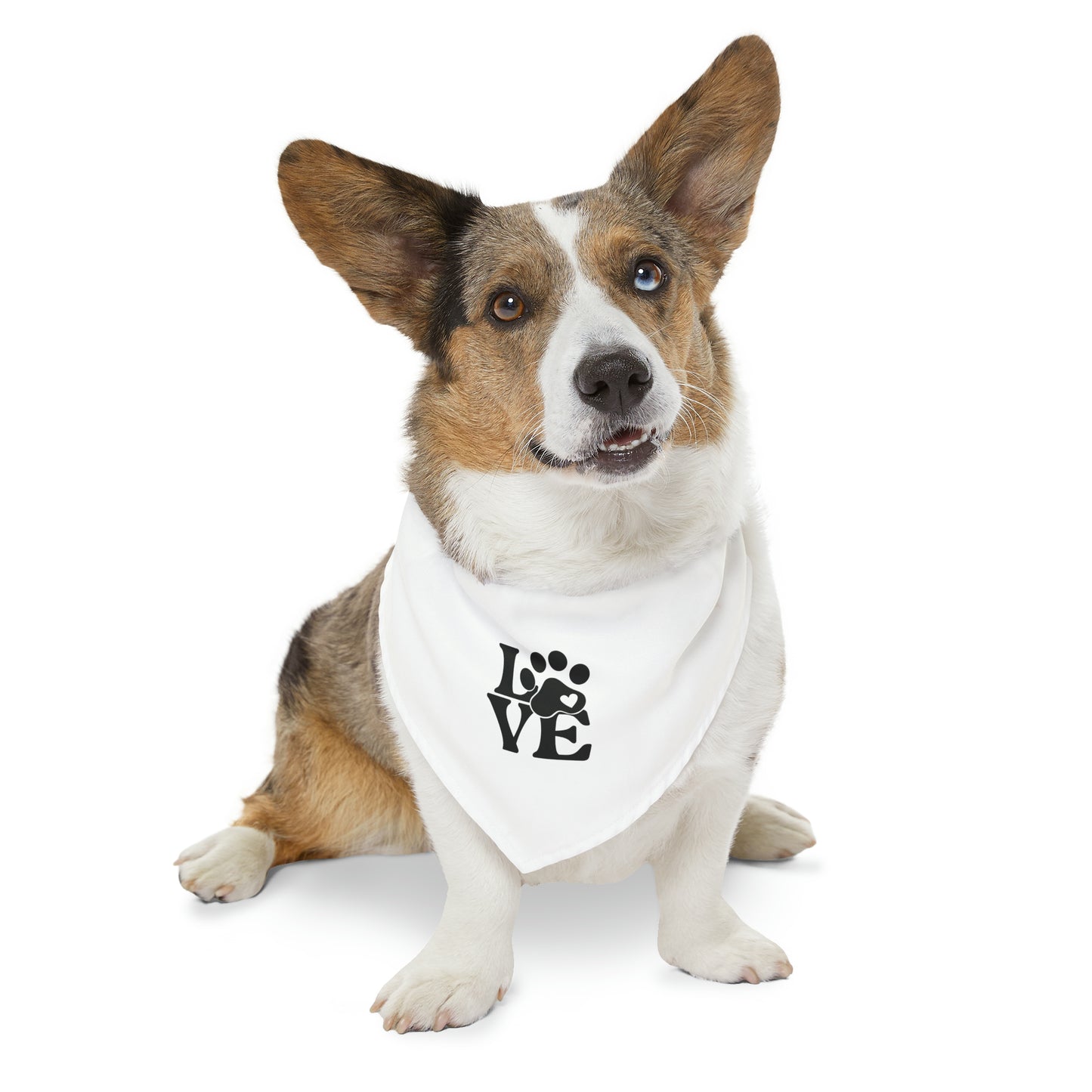 PetLuv | Pet Bandana Collar